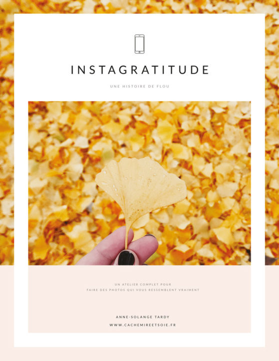 V2-006-INSTAGRATITUDE-une-histoire-de-flou-1