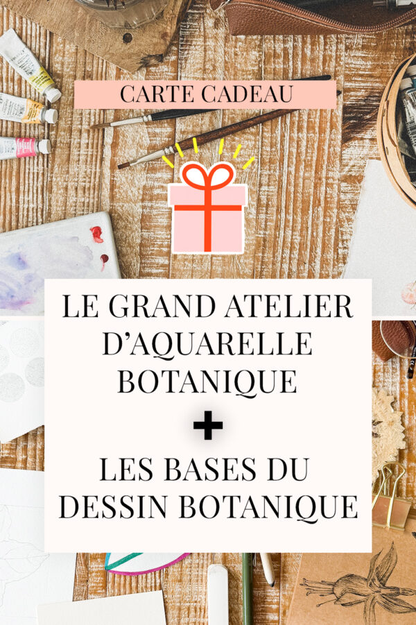Offrir "Le grand atelier d'aquarelle botanique" + "Les bases du dessin botanique"