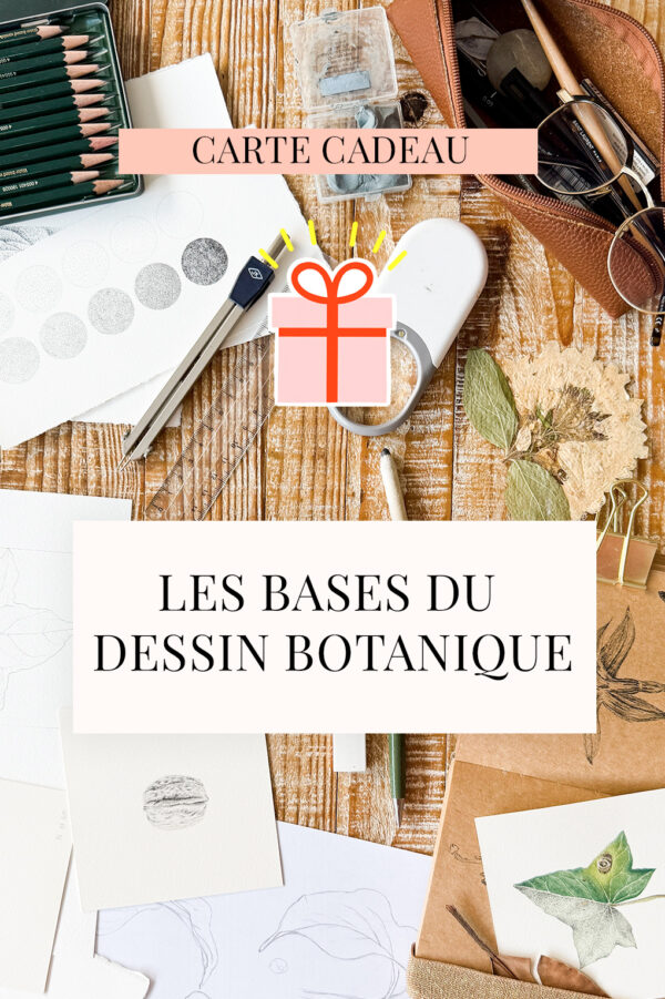 Offrir "Les bases du dessin botanique"