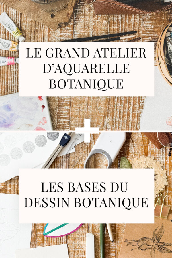 "Le grand atelier d'aquarelle botanique" + "Les bases du dessin botanique"