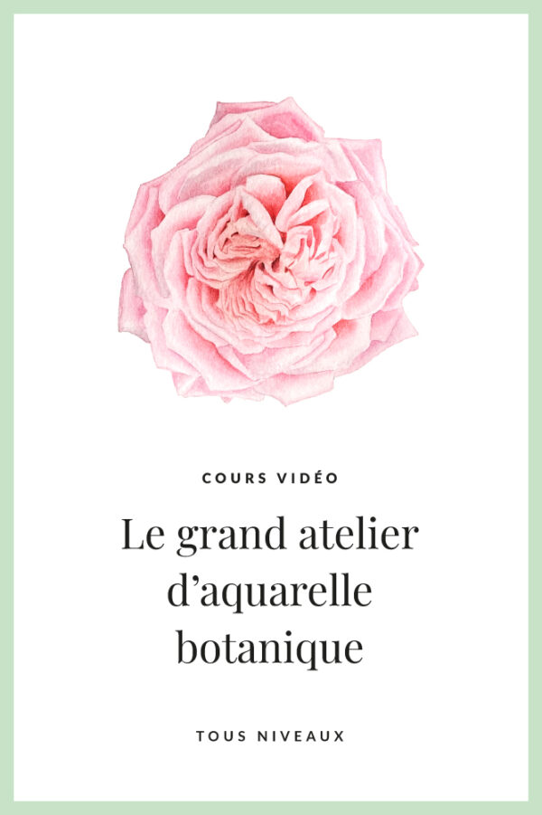 Le grand atelier d'aquarelle botanique