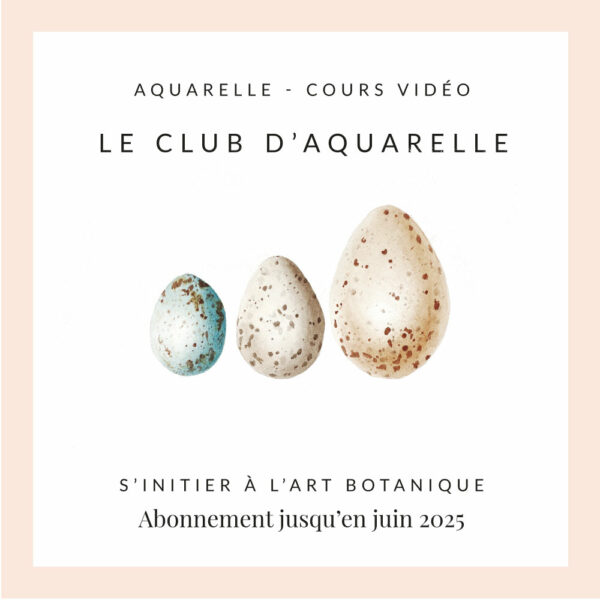 Club d'aquarelle - Abonnement jusqu'en juin 2025