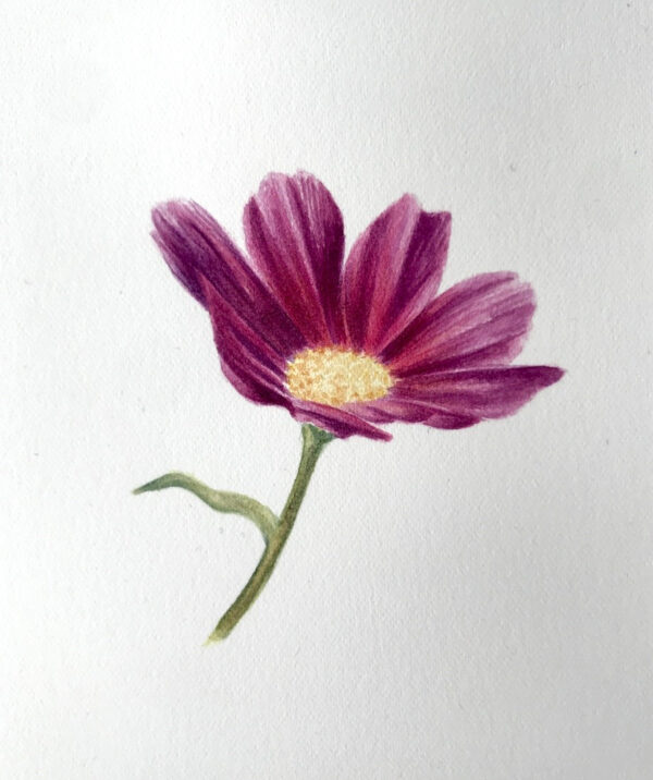 00002-travaux-eleves-atelier-aquarelle-botanique