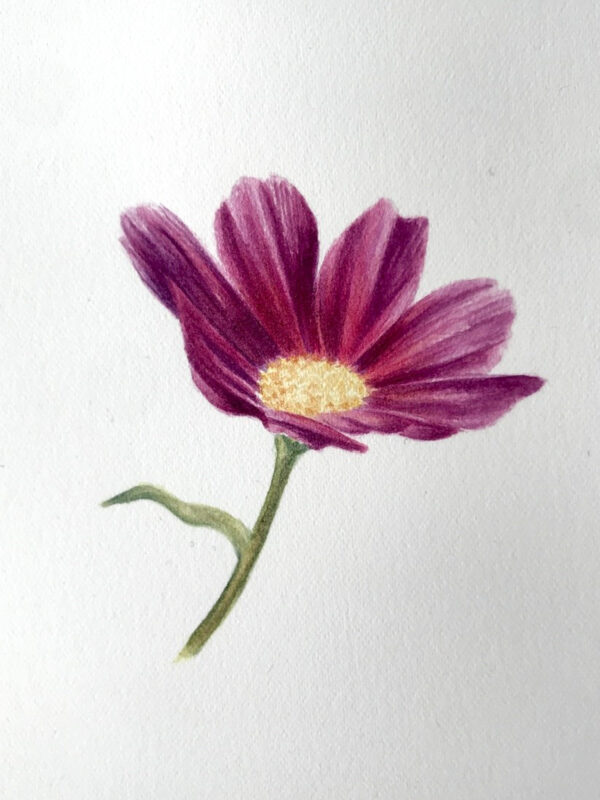 00002-travaux-eleves-atelier-aquarelle-botanique