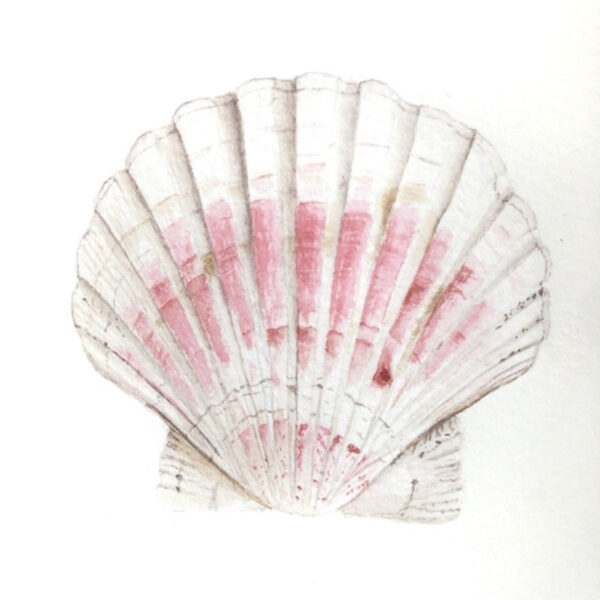 00003-travaux-eleves-atelier-aquarelle-botanique