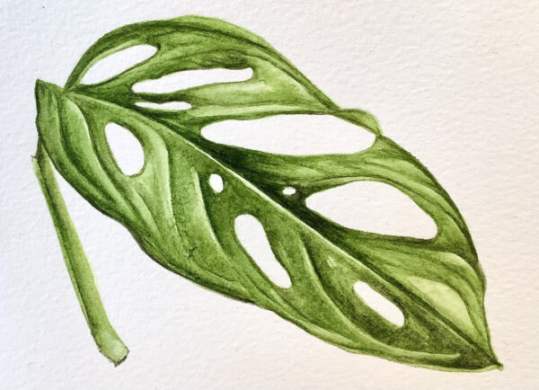00004-travaux-eleves-atelier-aquarelle-botanique