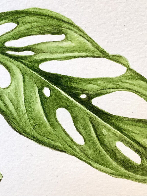 00004-travaux-eleves-atelier-aquarelle-botanique