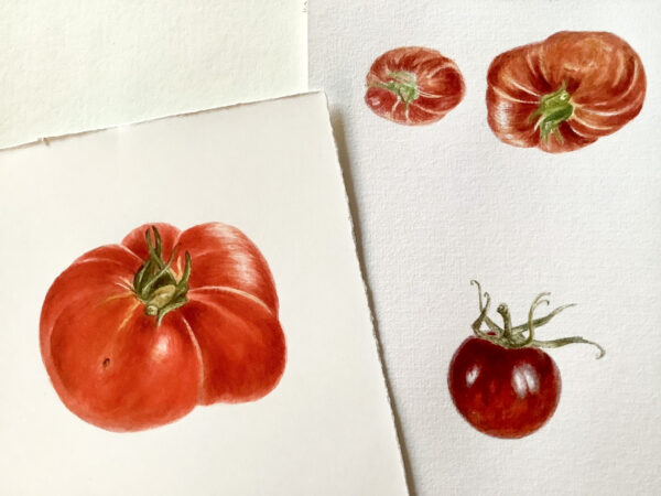 00005-travaux-eleves-atelier-aquarelle-botanique