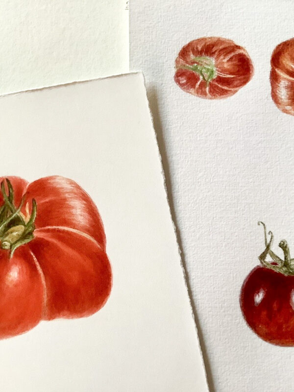 00005-travaux-eleves-atelier-aquarelle-botanique