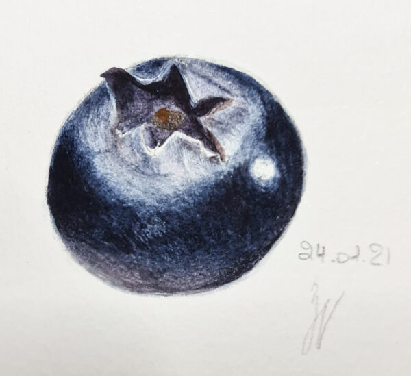 00006-travaux-eleves-atelier-aquarelle-botanique