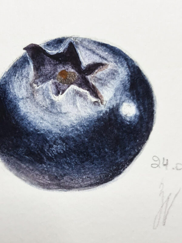 00006-travaux-eleves-atelier-aquarelle-botanique
