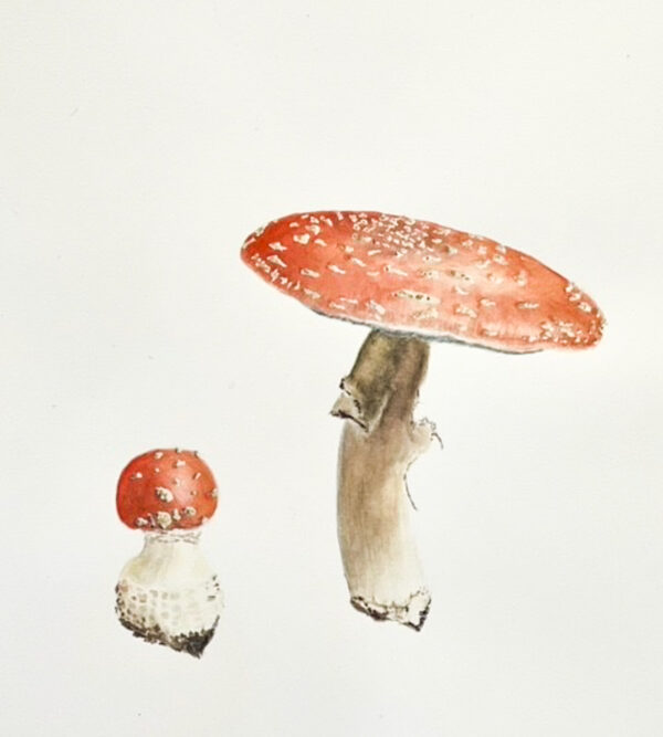 00011-travaux-eleves-atelier-aquarelle-botanique
