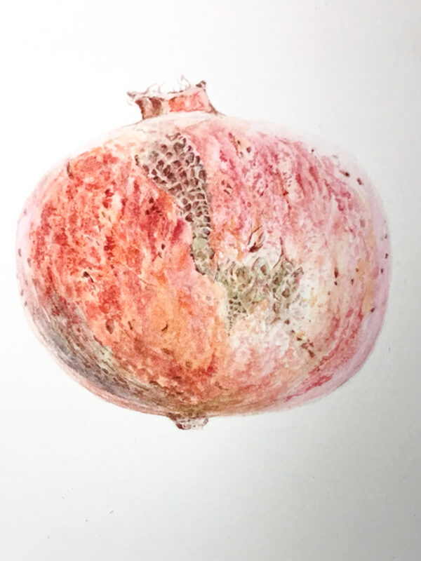 00014-travaux-eleves-atelier-aquarelle-botanique