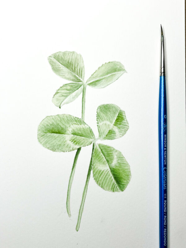 00021-travaux-eleves-atelier-aquarelle-botanique