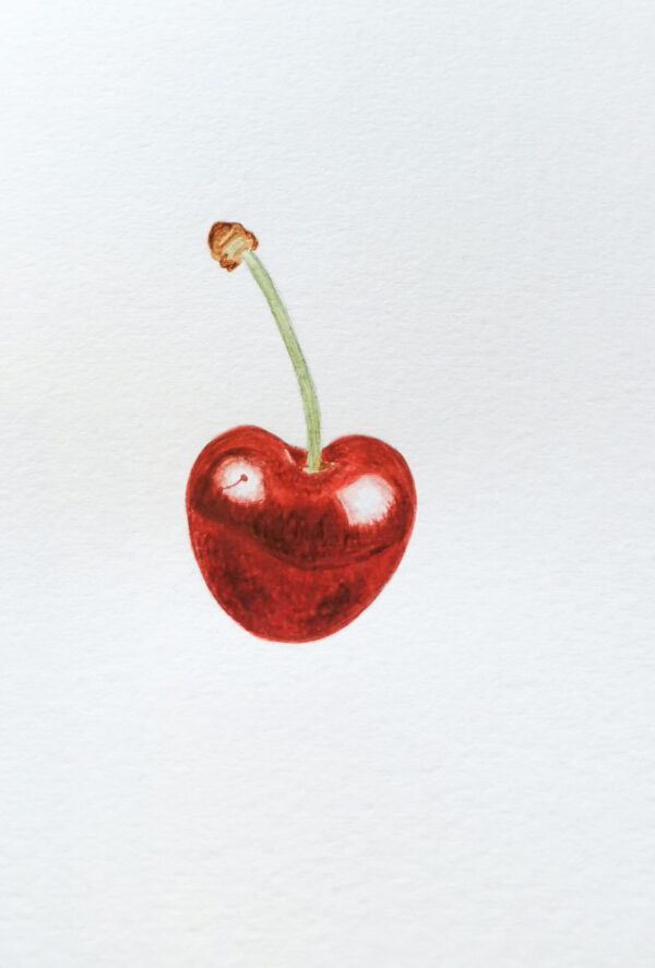 00023-travaux-eleves-atelier-aquarelle-botanique