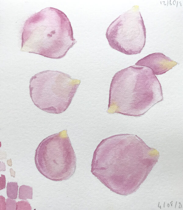 00030-travaux-eleves-atelier-aquarelle-botanique