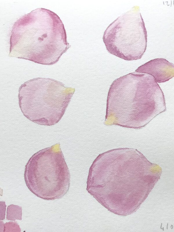 00030-travaux-eleves-atelier-aquarelle-botanique