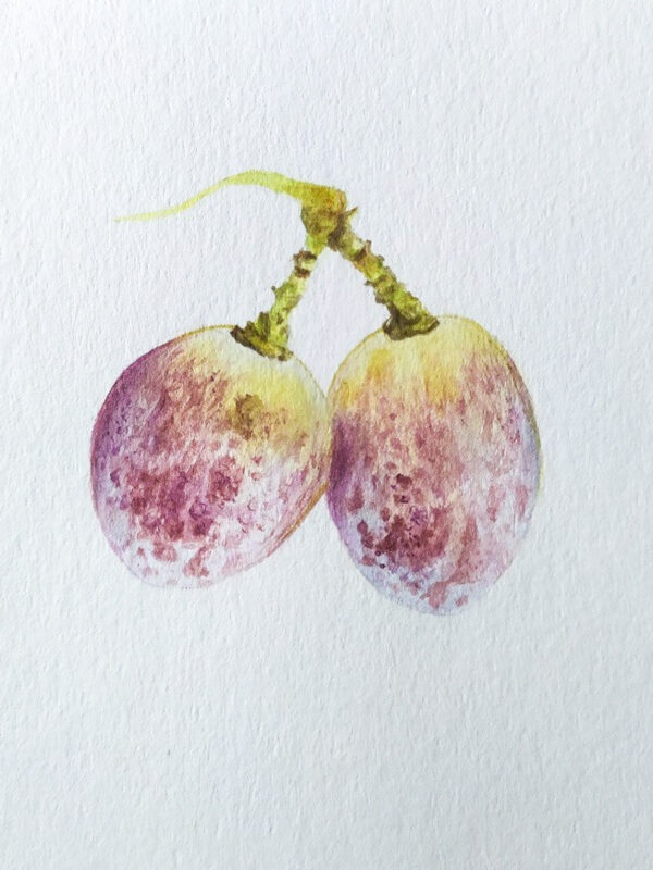 00032-travaux-eleves-atelier-aquarelle-botanique