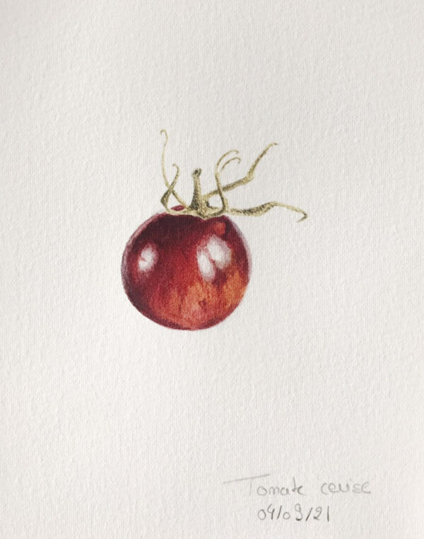 00034-travaux-eleves-atelier-aquarelle-botanique