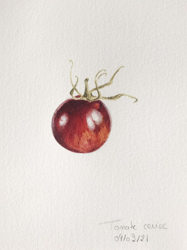 00034-travaux-eleves-atelier-aquarelle-botanique