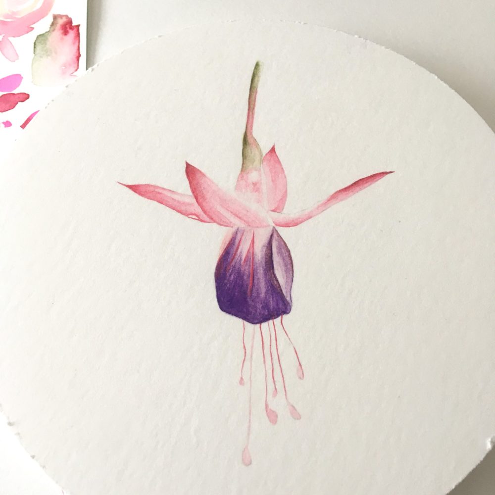 00001-travaux-eleves-atelier-aquarelle-botanique