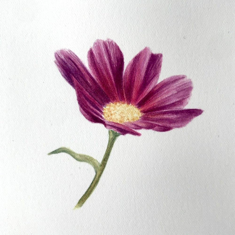 00002-travaux-eleves-atelier-aquarelle-botanique