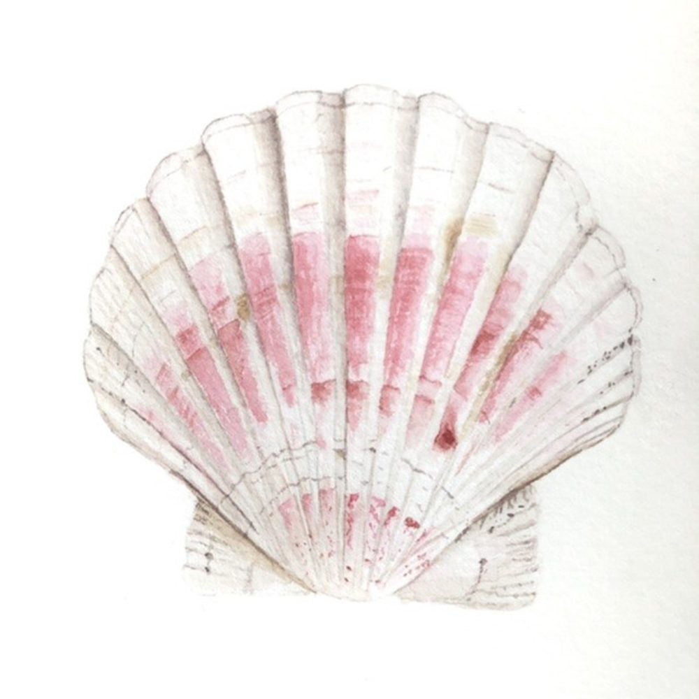 00003-travaux-eleves-atelier-aquarelle-botanique