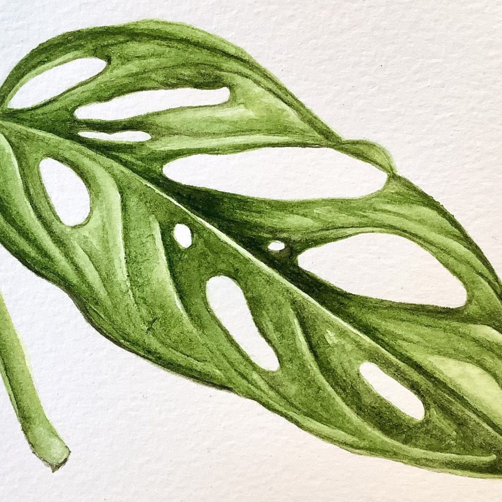 00004-travaux-eleves-atelier-aquarelle-botanique