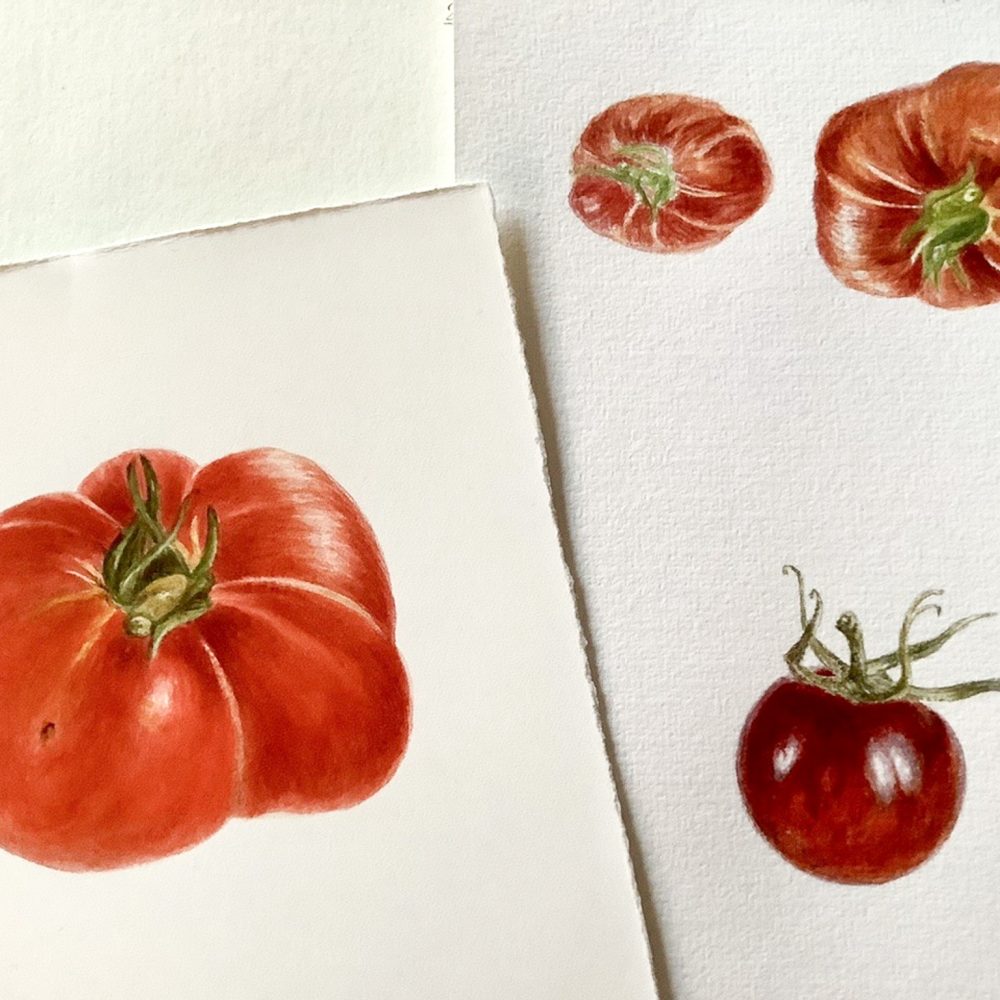 00005-travaux-eleves-atelier-aquarelle-botanique