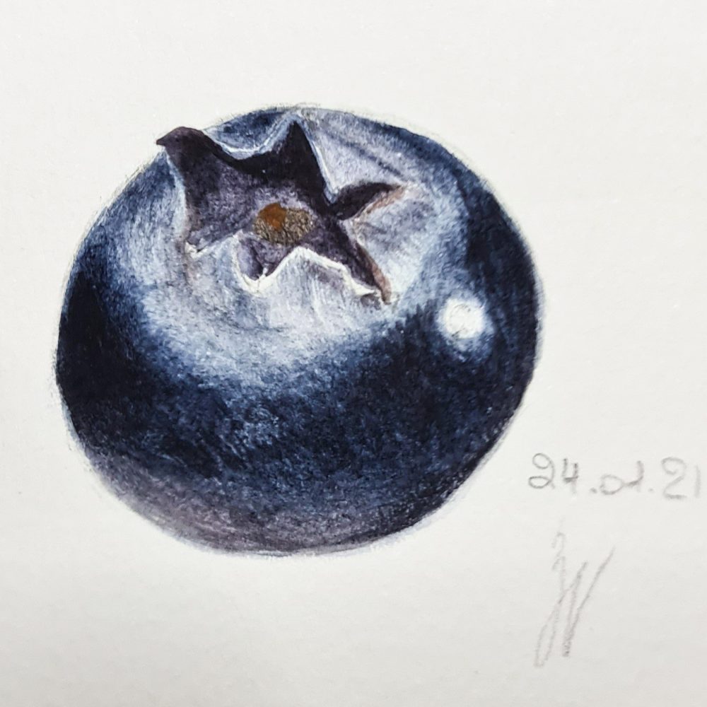 00006-travaux-eleves-atelier-aquarelle-botanique