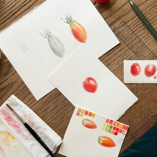 00009live-tomate-aquarelle