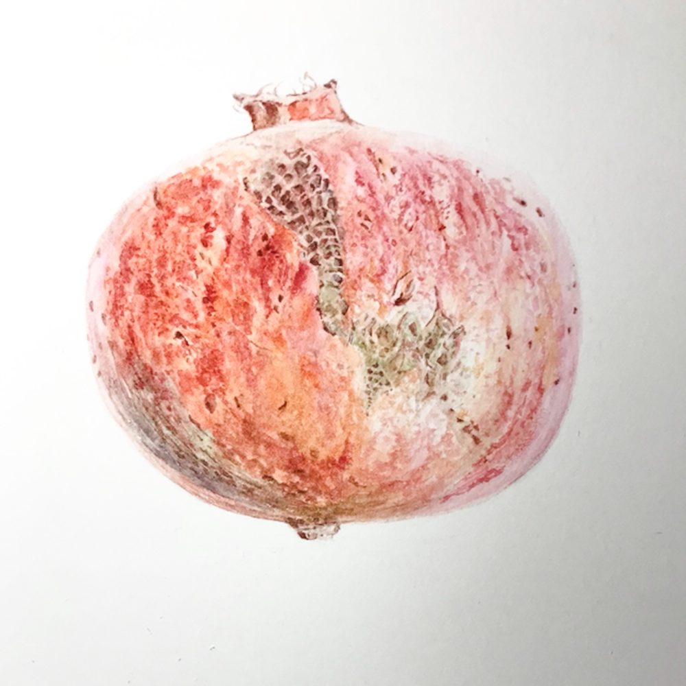 00014-travaux-eleves-atelier-aquarelle-botanique