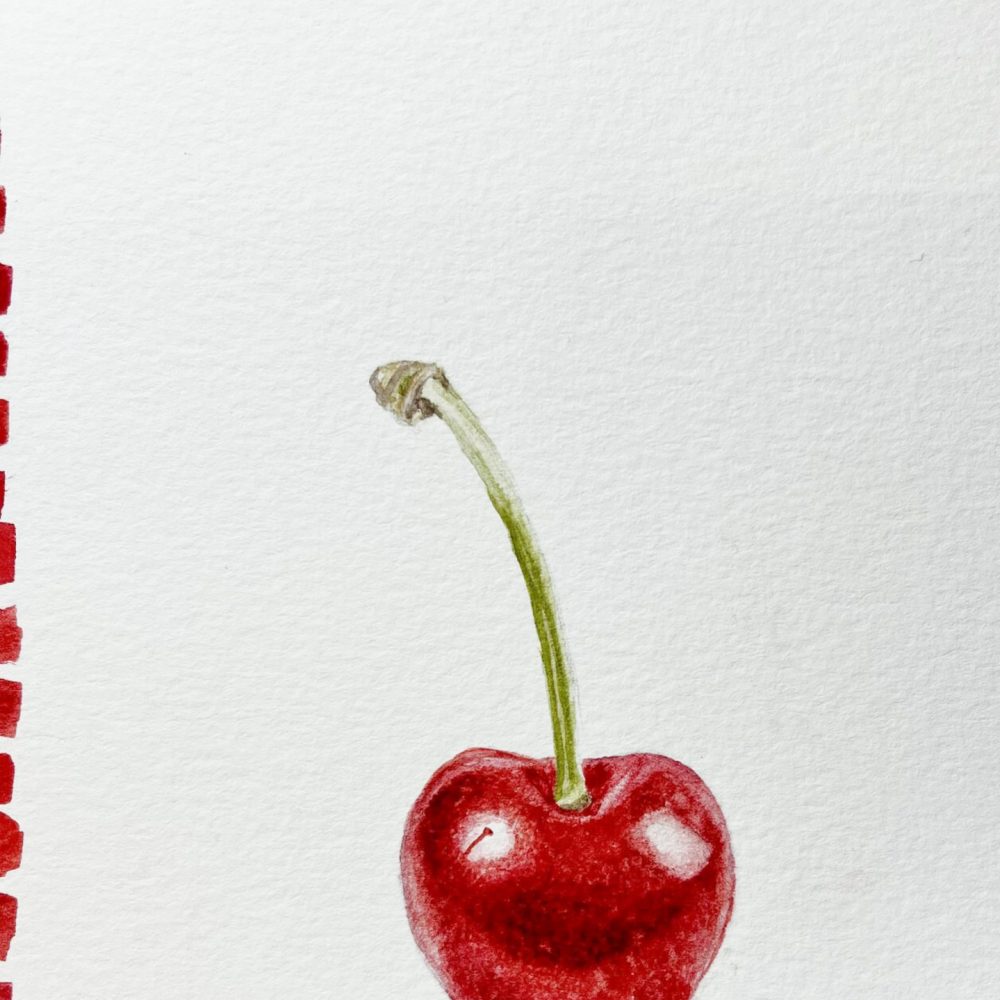 00020-travaux-eleves-atelier-aquarelle-botanique