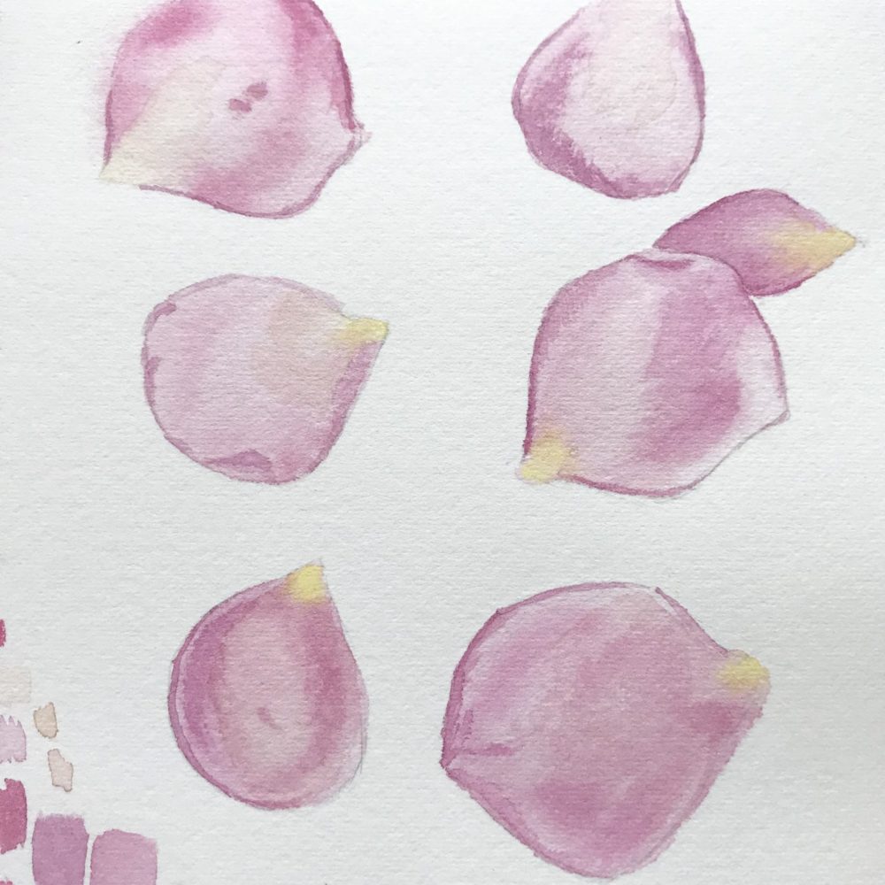 00030-travaux-eleves-atelier-aquarelle-botanique