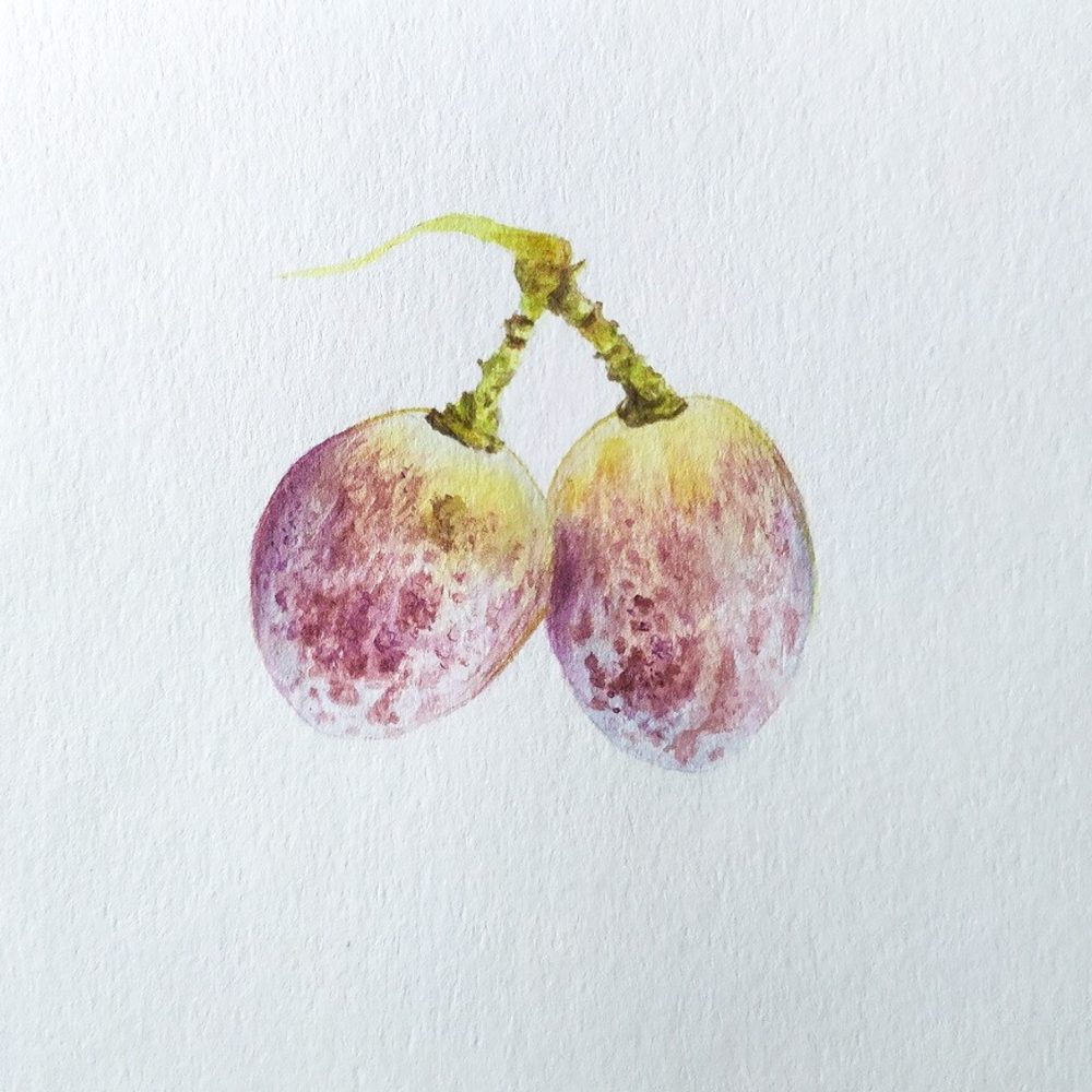 00032-travaux-eleves-atelier-aquarelle-botanique