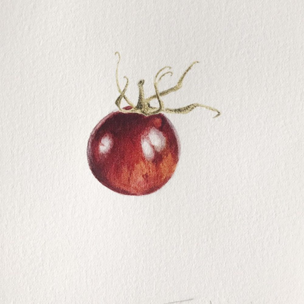 00034-travaux-eleves-atelier-aquarelle-botanique