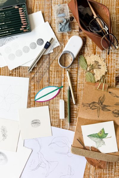 Apprendre-le-dessin-botanique-AS-Tardy